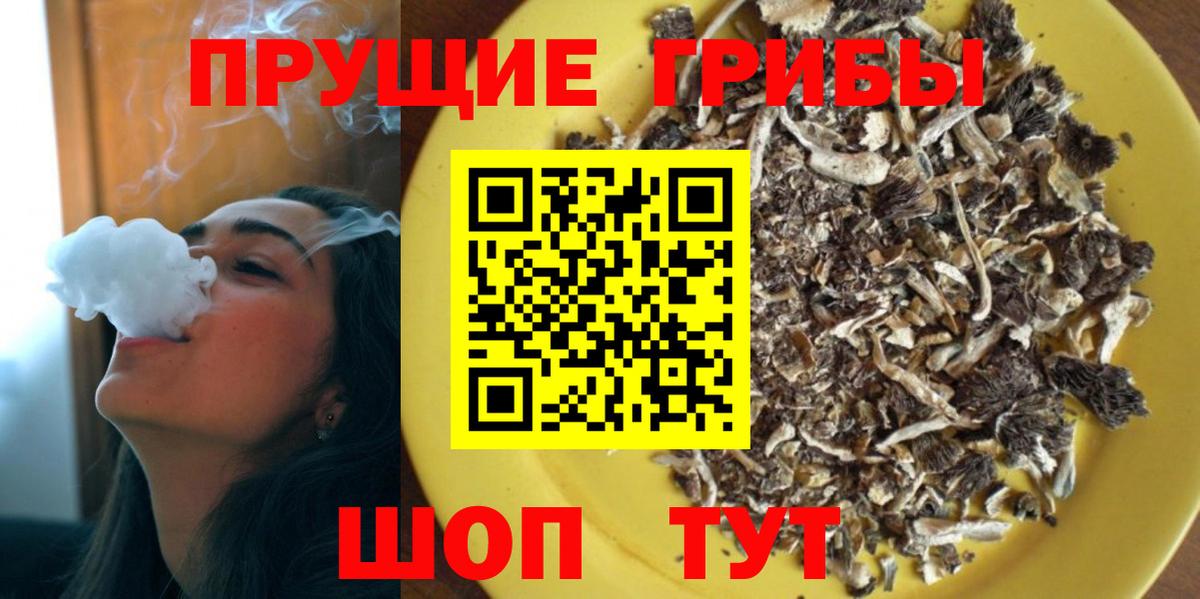 Гурьевск  сколько стоит  Вход с VPN  Галлюциногенные грибы прущие грибы 
