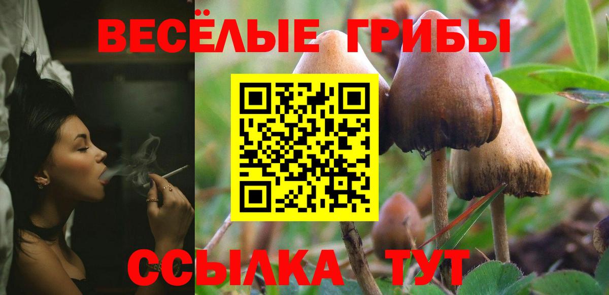 Псилоцибиновые грибы мицелий Гурьевск